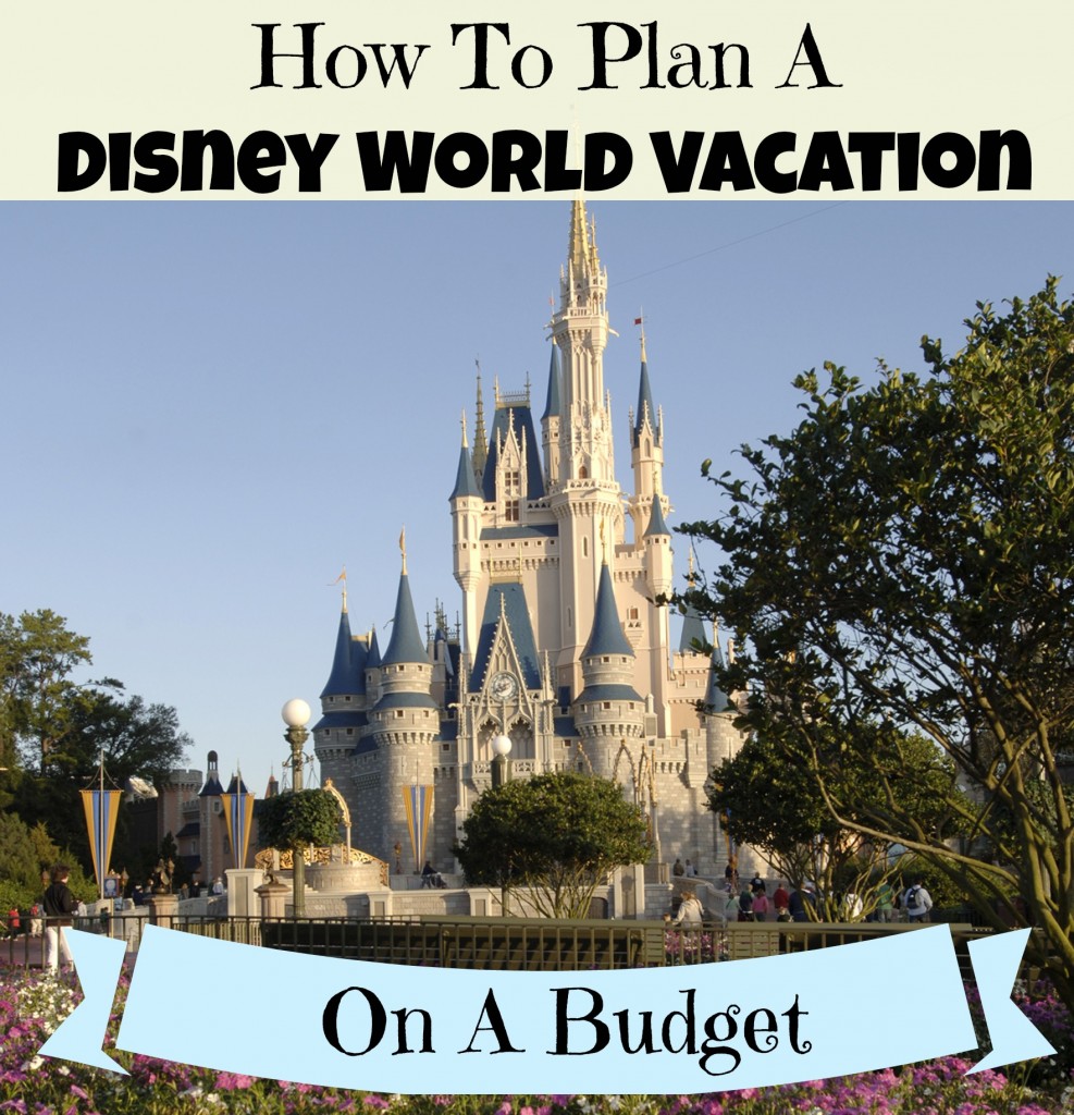 Disney Vacation on a Budget