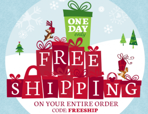 Disney Store Free Shipping