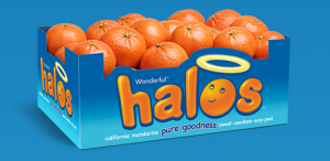 Halos Mandarin Oranges 