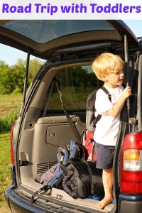 Surviving A Road Trip With Toddlers