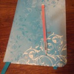 Organize & Save-Problem Area #3