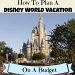 Disney World Tips: How To Save Money