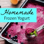 Homemade Frozen Yogurt Recipe