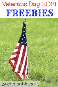 Veterans day grade 4
